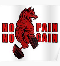 NO PAIN NO GAIN Poster