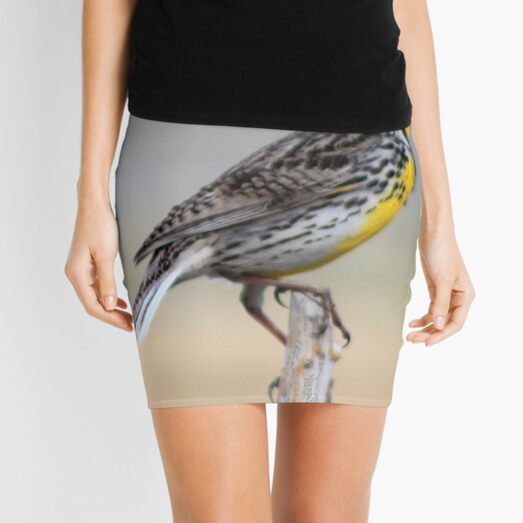 Lonely Meadowlark Mini Skirt
