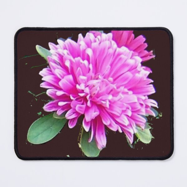 Item preview, Pink Aster Flower on Black designed and sold by DianeBP.