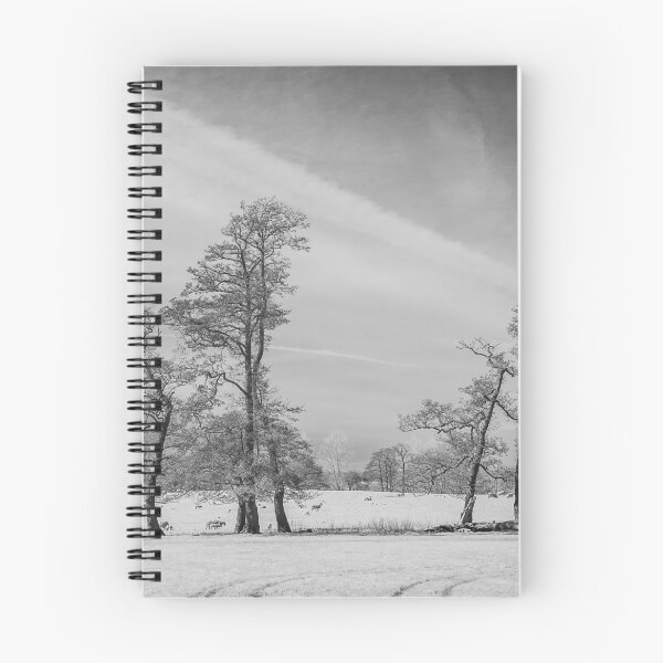 Item preview, Chelsworth Park #3 designed and sold by ccullen222.