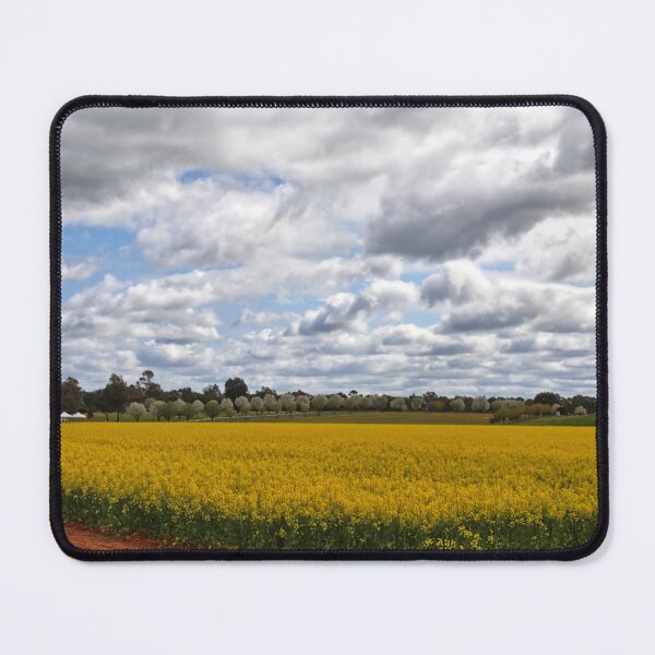 Item preview, Canola crop. designed and sold by Ian Ramsay.