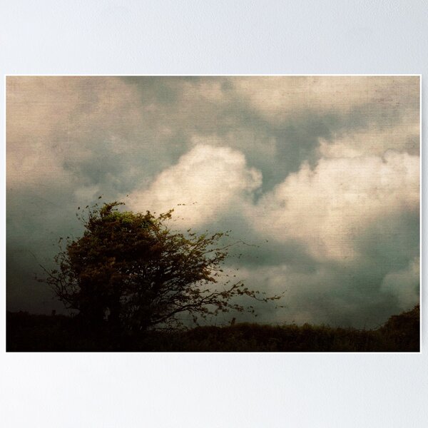 Item preview, A lonely wind designed and sold by Agnes McGuinness.