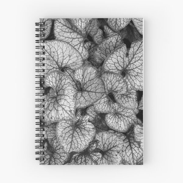 Item preview, Jack Frost Plant designed and sold by David Bowman.