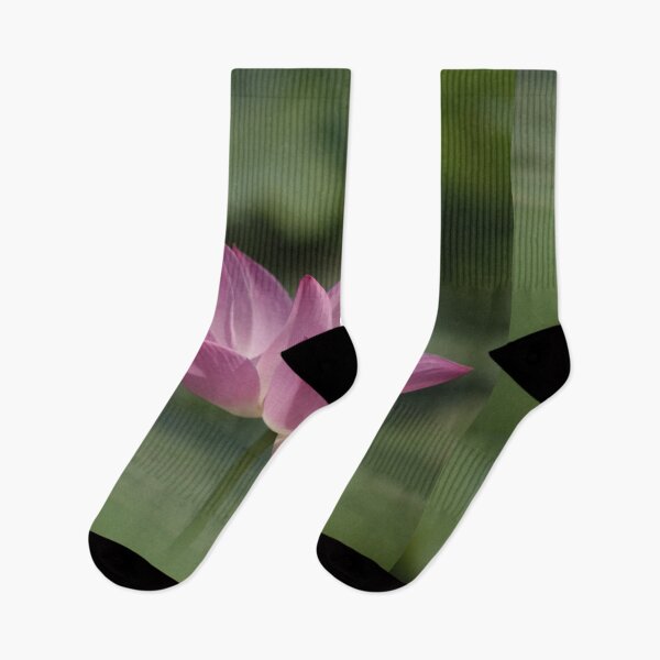 Item preview, Sacred Pink Lotus Blossom - Serene Zen Art for Meditation and Yoga designed and sold by Luminari Creations.