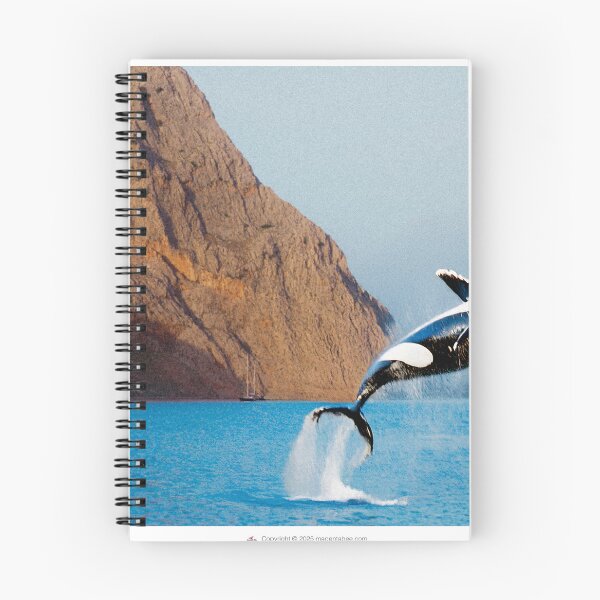 Item preview, Orca mid-air designed and sold by Magenta Bee Design.