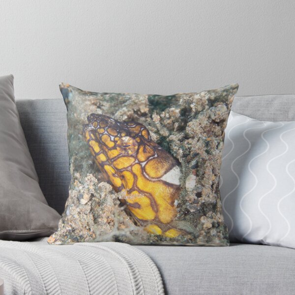 Item preview, Napoleon Snake Eel designed and sold by Mark Rosenstein.