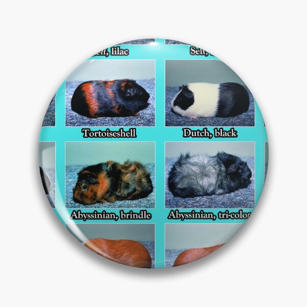 Item preview, Guinea Pig Vintage Coats Colors Chart designed and sold by Leatherface.