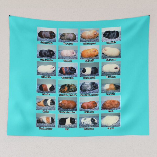 Item preview, Guinea Pig Vintage Coats Colors Chart designed and sold by Leatherface.