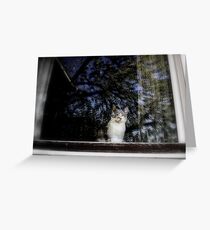 Reflection Greeting Card