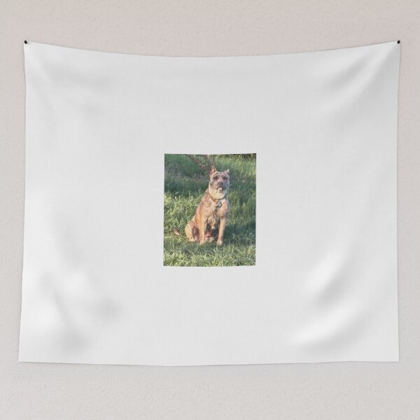 Item preview, My baby was just sitting there so I took pic designed and sold by Bnester0678.