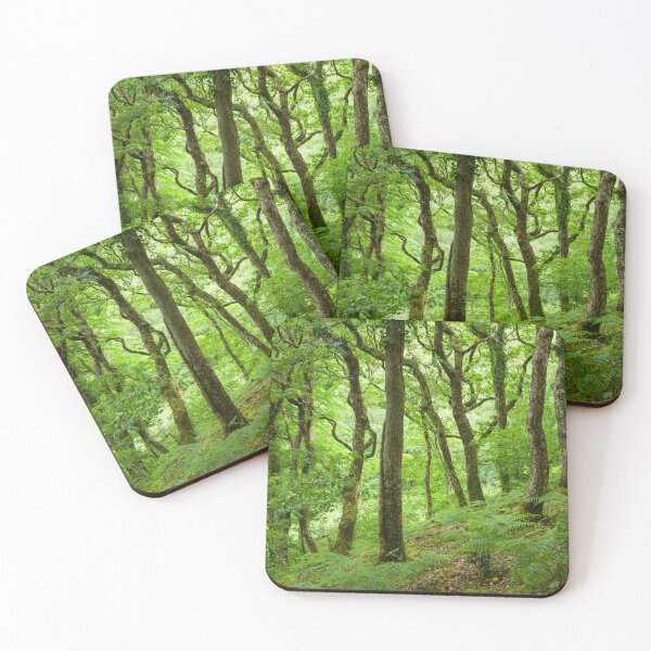 Item preview, Sessile Oak Woodland designed and sold by Craig Joiner.