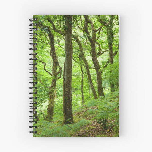 Item preview, Sessile Oak Woodland designed and sold by Craig Joiner.