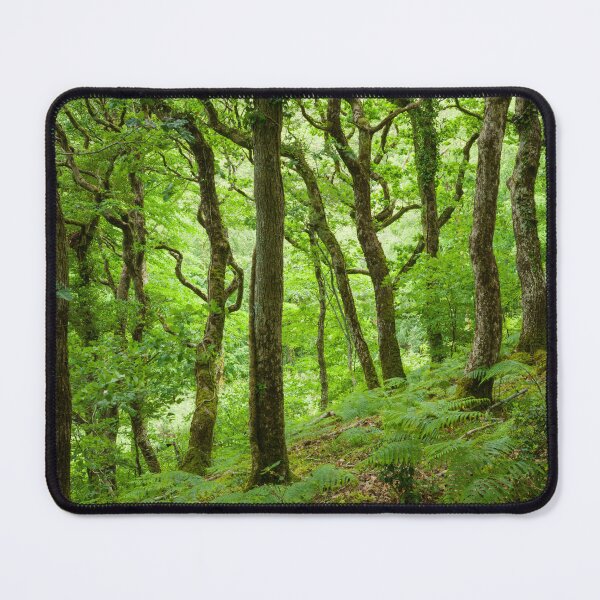 Item preview, Sessile Oak Woodland designed and sold by Craig Joiner.
