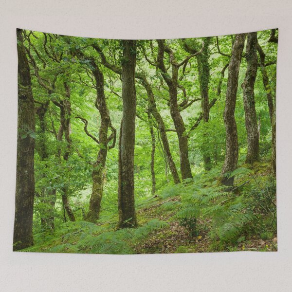Item preview, Sessile Oak Woodland designed and sold by Craig Joiner.