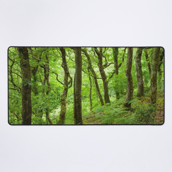 Item preview, Sessile Oak Woodland designed and sold by Craig Joiner.