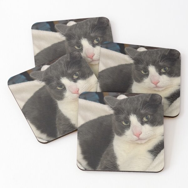 Item preview, Tuxedo Cat with great facial expressions designed and sold by 13EdgeDesigns.