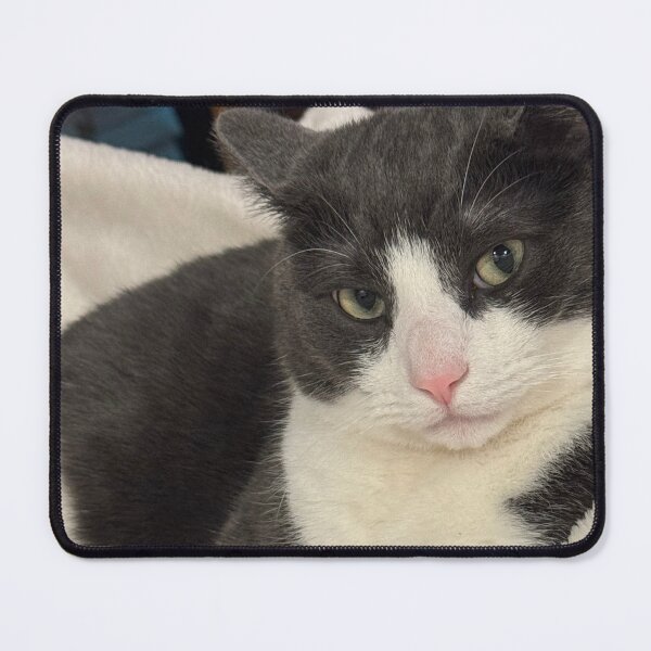 Item preview, Tuxedo Cat with great facial expressions designed and sold by 13EdgeDesigns.