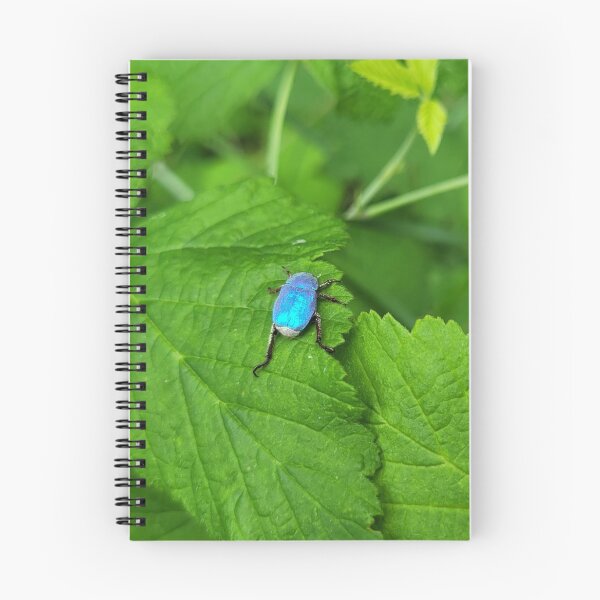 Item preview, Blue Hoplia designed and sold by Astronatural.