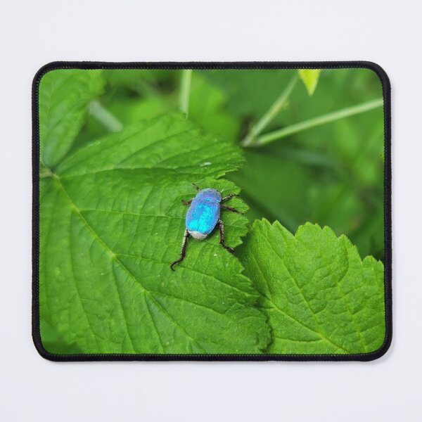 Item preview, Blue Hoplia designed and sold by Astronatural.