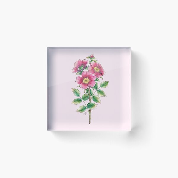 Item preview, Wild Rose designed and sold by DesignsBySloan.