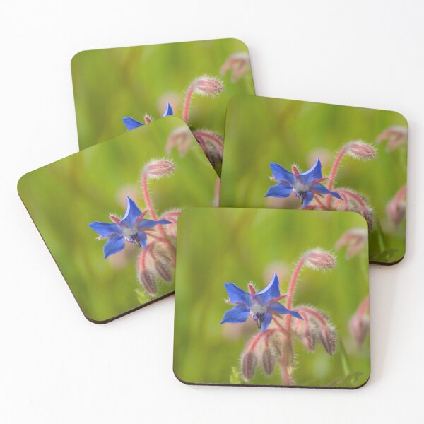 Item preview, borage flower designed and sold by Astronatural.