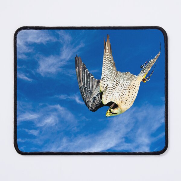 Item preview, Coming to the lure designed and sold by Dalyndigital Photography.