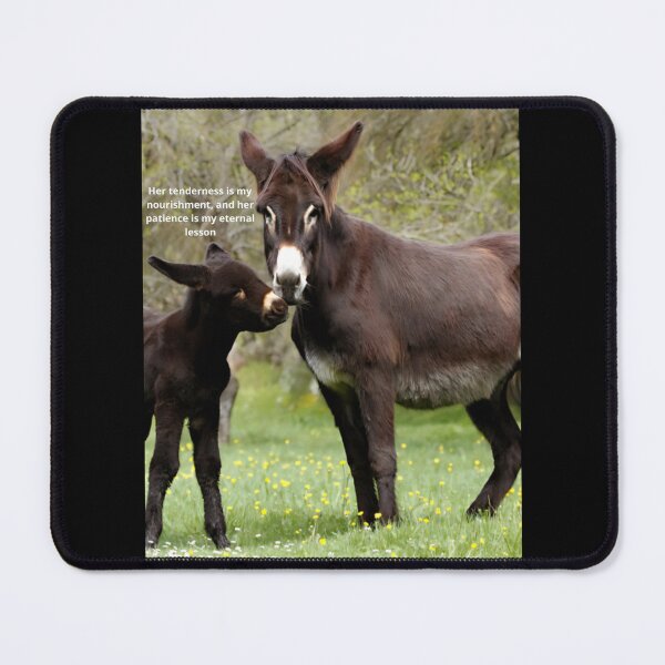 Item preview, Tender Donkey Moment with Poetic Reflection designed and sold by Donkeysart.