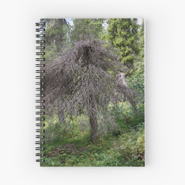 Item preview, Odd one. Valtavaara 2025 number 22 designed and sold by Jouko Lehto Photography.