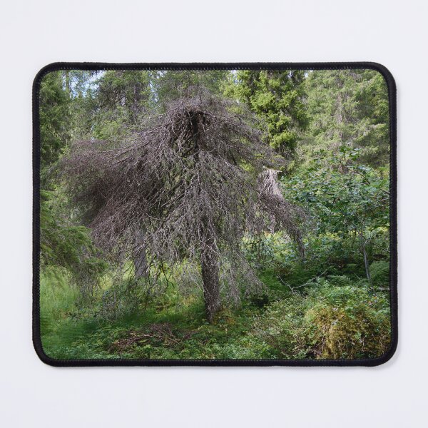 Item preview, Odd one. Valtavaara 2025 number 22 designed and sold by Jouko Lehto Photography.