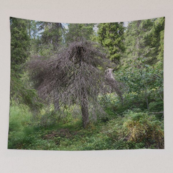 Item preview, Odd one. Valtavaara 2025 number 22 designed and sold by Jouko Lehto Photography.