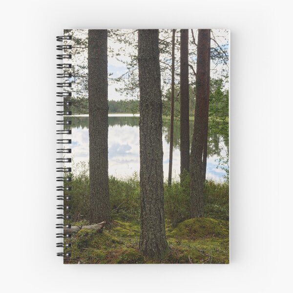 Item preview, Rapalampi Petajakangas 2025 designed and sold by Jouko Lehto Photography.