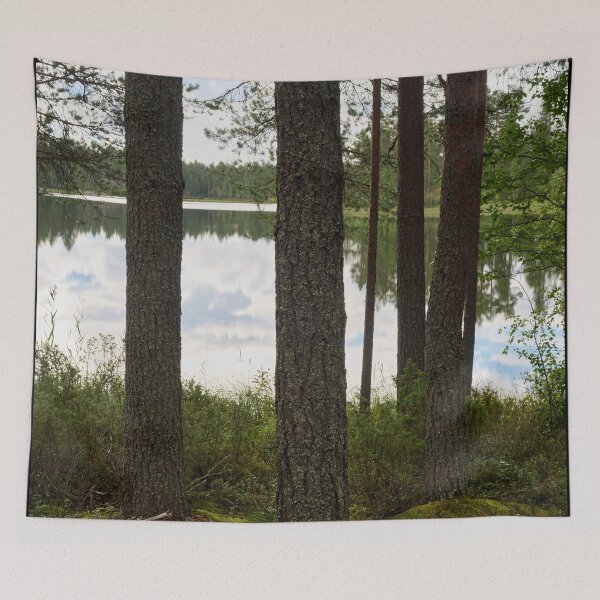 Item preview, Rapalampi Petajakangas 2025 designed and sold by Jouko Lehto Photography.