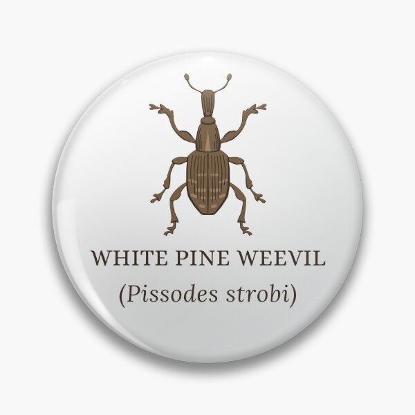 Item preview, White Pine Weevil designed and sold by Kindred & Thistle.