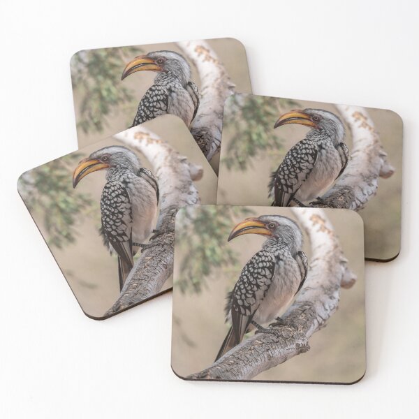 Item preview, Golden glance of the Yellow-billed Hornbill perched on a branch designed and sold by DavideAntoniani.