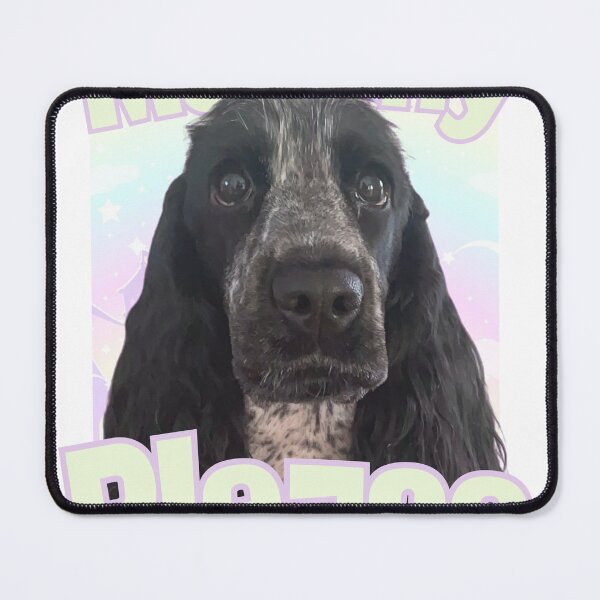 Item preview, Cocker spaniel blue roan designed and sold by sillanpaa98.