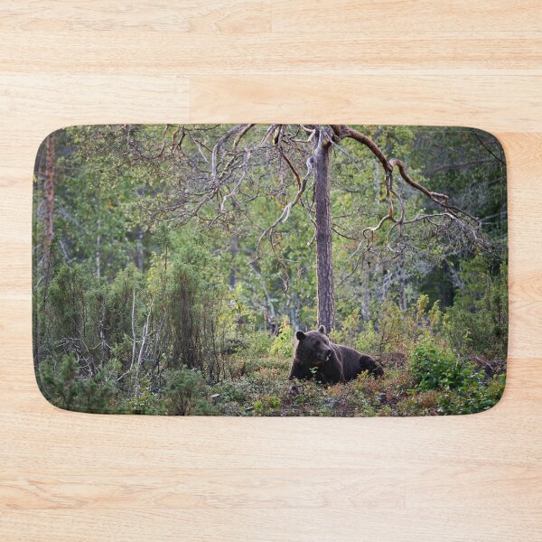 Item preview, Rest and peace. Brown bear 2025 designed and sold by Jouko Lehto Photography.