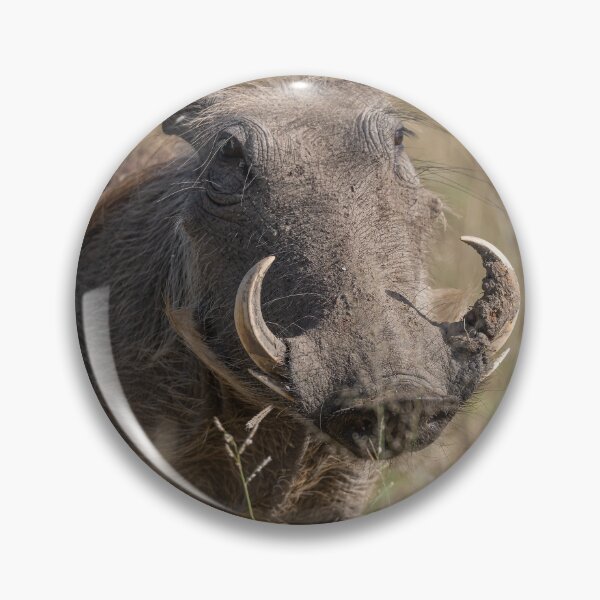 Item preview, Warthog Close-Up – The Wild Face of the African Savanna designed and sold by DavideAntoniani.