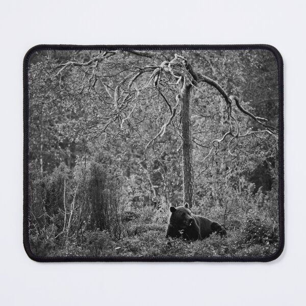 Item preview, Rest and peace. Brown bear 2025 bw designed and sold by Jouko Lehto Photography.