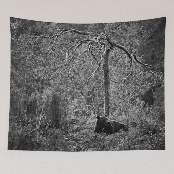 Item preview, Rest and peace. Brown bear 2025 bw designed and sold by Jouko Lehto Photography.