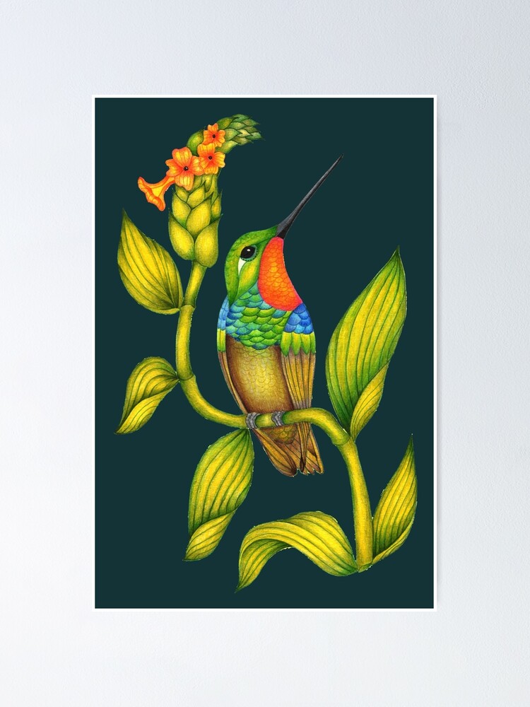 Thumbnail 1 of 3, Poster, Hummingbird Botanical designed and sold by ChristinaPlumb.