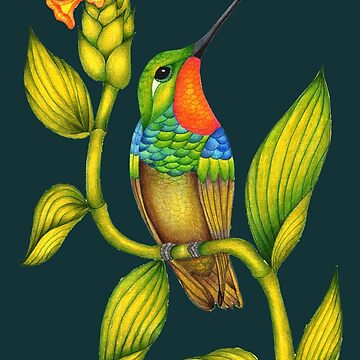 Artwork thumbnail, Hummingbird Botanical by Christina Plumb
