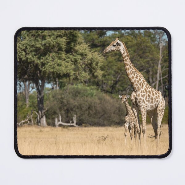 Item preview, Mother’s Watch – Giraffe with Calf in the African Savanna designed and sold by DavideAntoniani.