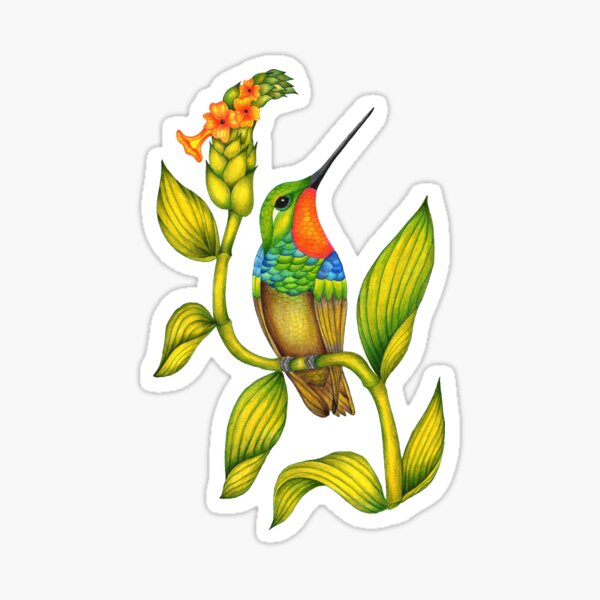 Item preview, Hummingbird Botanical designed and sold by Christina Plumb.