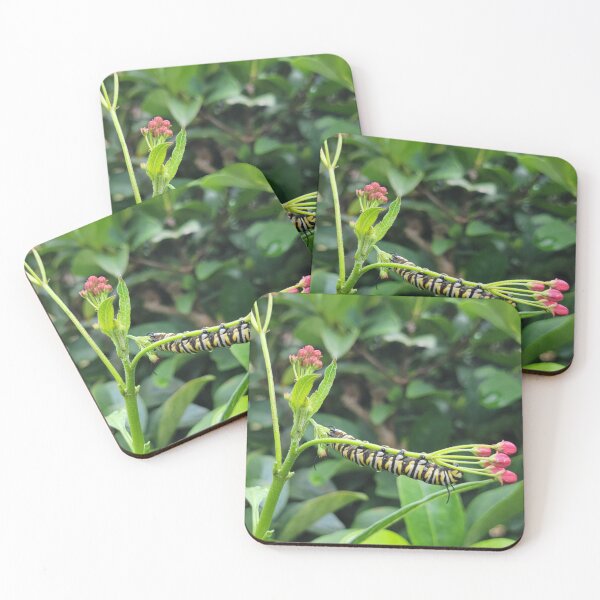 Item preview, Monarch caterpillar designed and sold by Jmb67.