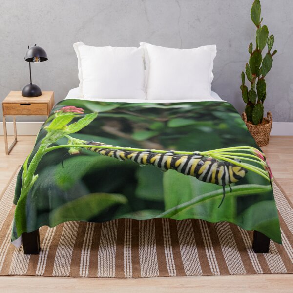 Item preview, Monarch caterpillar designed and sold by Jmb67.