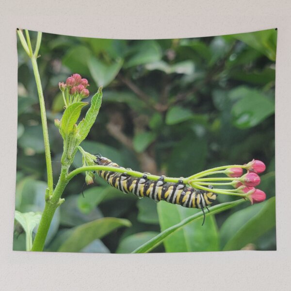 Item preview, Oruga monarca designed and sold by Jmb67.