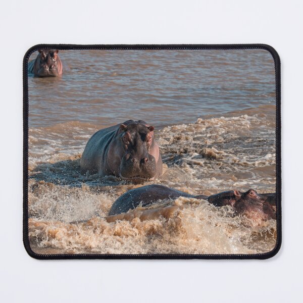 Item preview, Hippo Clash – Powerful Hippos Fighting in the River designed and sold by DavideAntoniani.