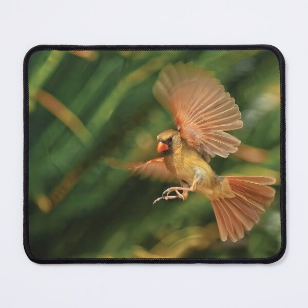 Item preview, A Cardinal Approaches designed and sold by Kay Brewer.