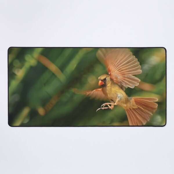 Item preview, A Cardinal Approaches designed and sold by Kay Brewer.