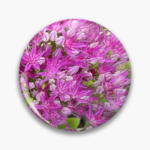 Item preview, Fuchsia-Hued Glory! designed and sold by Lana Magnolia.